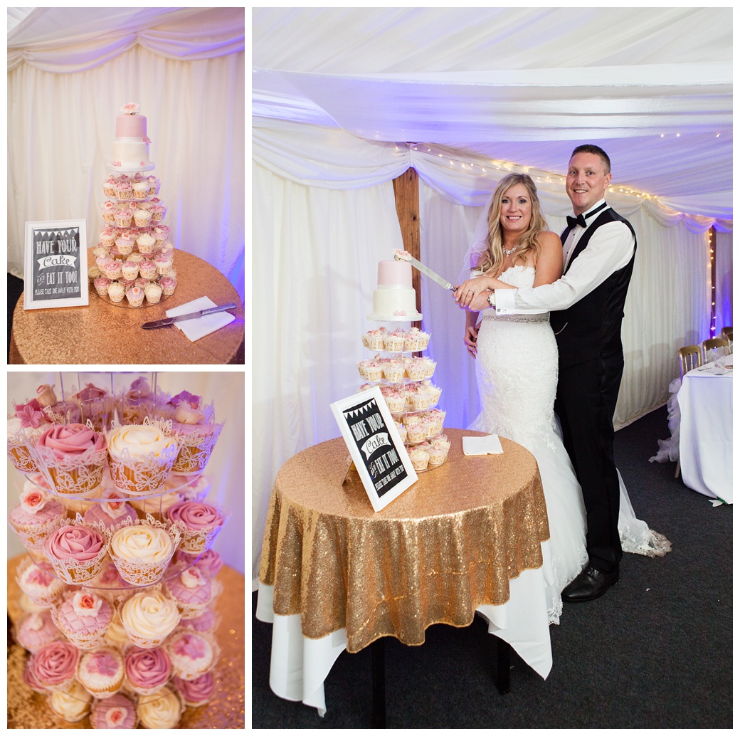 Bride and Groom cutting the cake at Broyle Place