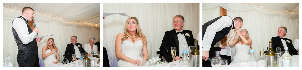 Grooms speech at Broyle Place